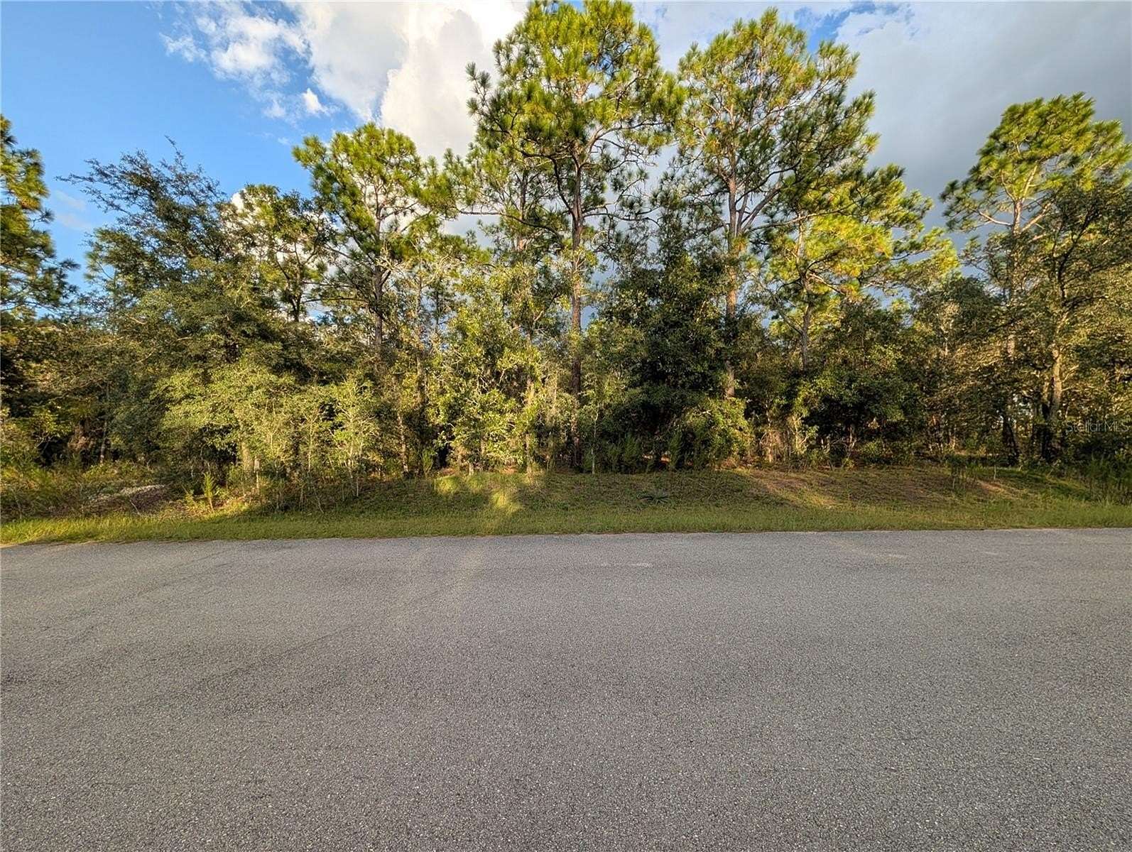 0.32 Acres of Residential Land for Sale in Dunnellon, Florida