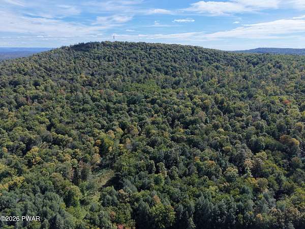 121 Acres of Recreational & Residential Land for Sale in Starrucca, Pennsylvania