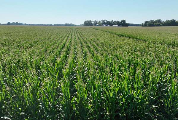 673 Acres of Agricultural Land for Auction in Benson, Minnesota