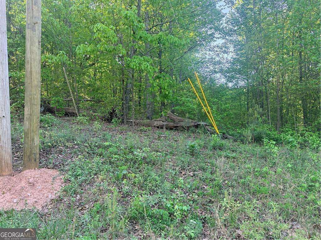 2.52 Acres of Land for Sale in Bremen, Georgia