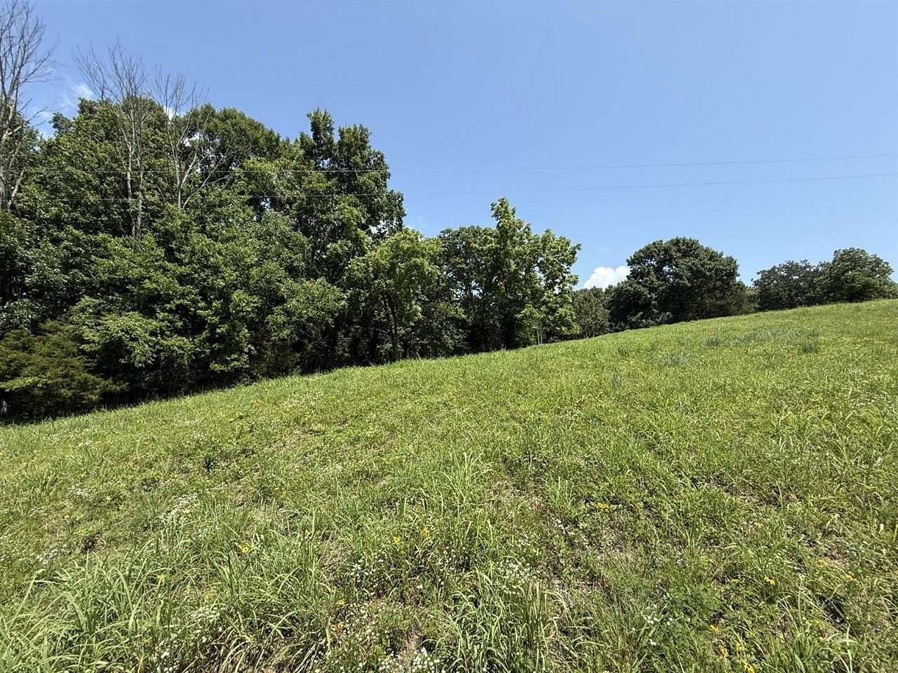 10.2 Acres of Land for Sale in Scottsville, Kentucky