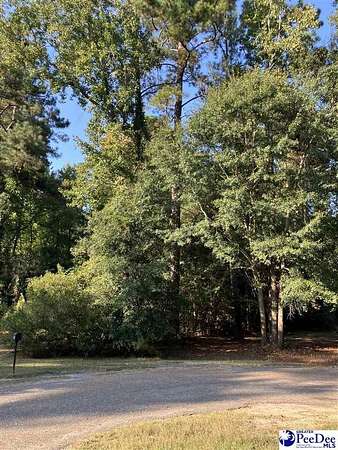 0.26 Acres of Residential Land for Sale in Mullins, South Carolina