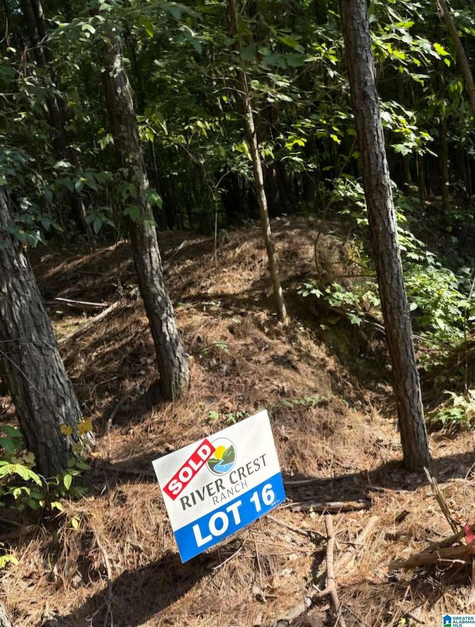 13.3 Acres of Land for Sale in Cordova, Alabama