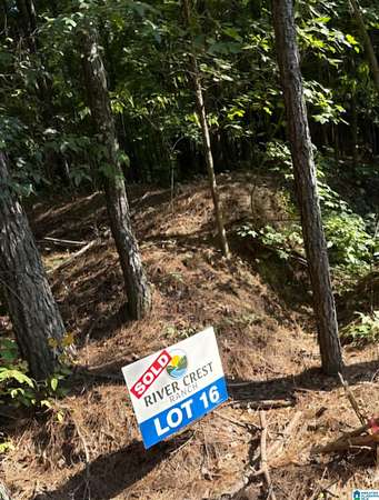 13.3 Acres of Land for Sale in Cordova, Alabama