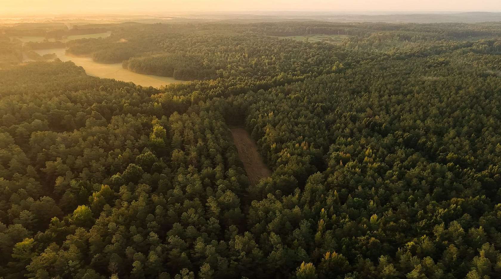 267 Acres of Recreational Land for Sale in Maben, Mississippi