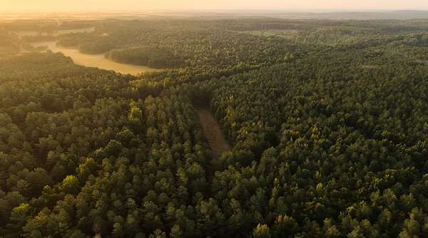 267 Acres of Recreational Land for Sale in Maben, Mississippi