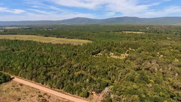 20 Acres of Recreational Land for Sale in Bates, Arkansas