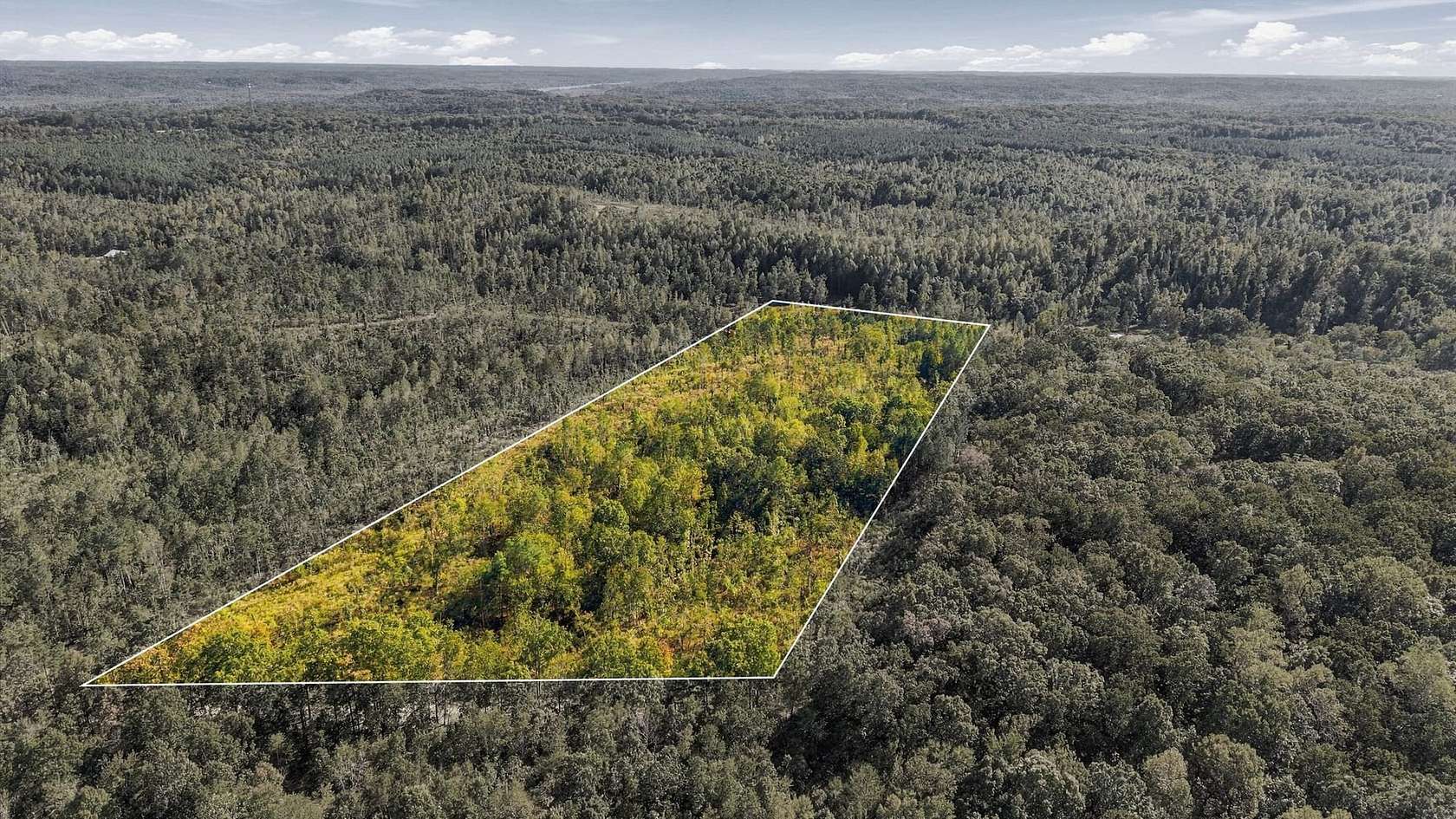 13.9 Acres of Land for Sale in Holladay, Tennessee