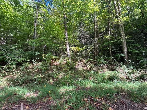 3.68 Acres of Recreational Land for Sale in Almond, North Carolina