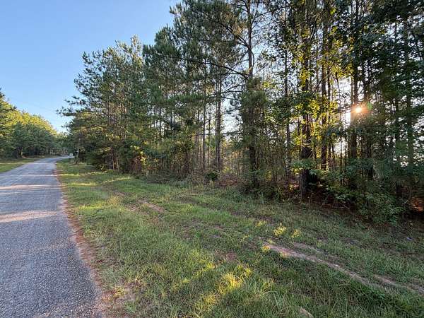 24 Acres of Recreational & Residential Land for Sale in Camp Hill, Alabama