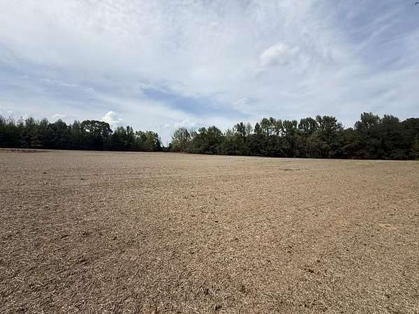 5 Acres of Land for Sale in Grand Junction, Tennessee