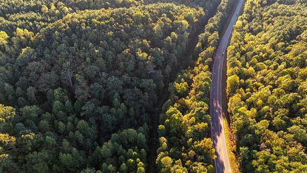 15 Acres of Recreational & Residential Land for Sale in Cullman, Alabama