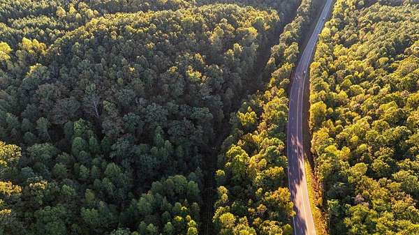 15 Acres of Recreational & Residential Land for Sale in Cullman, Alabama