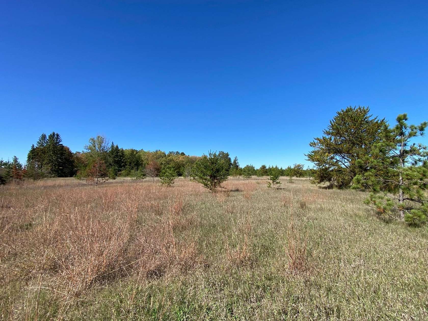 2 Acres of Land for Sale in Park Rapids, Minnesota