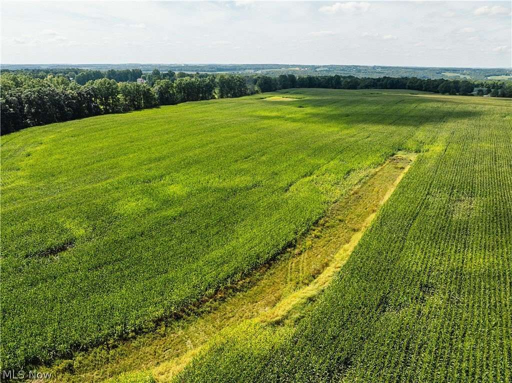 20 Acres of Land for Auction in Burbank, Ohio