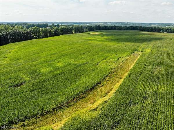 20 Acres of Land for Auction in Burbank, Ohio
