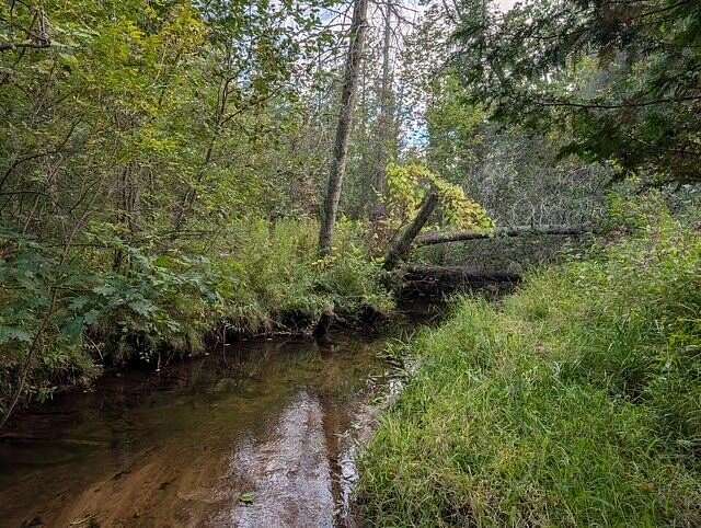7 Acres of Residential Land for Sale in Reed City, Michigan