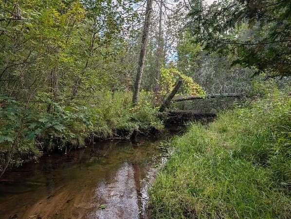 7 Acres of Residential Land for Sale in Reed City, Michigan