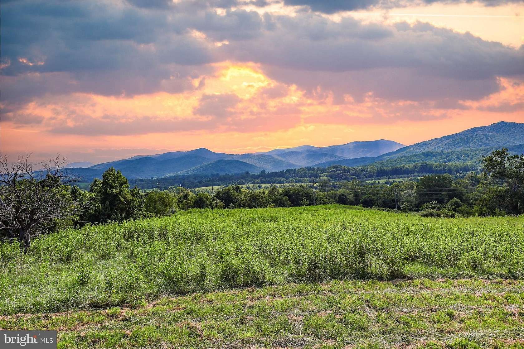 66.8 Acres of Land for Sale in Sperryville, Virginia