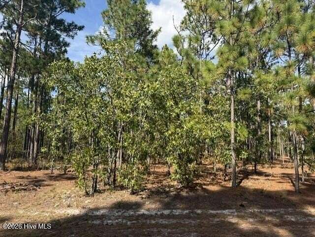 0.41 Acres of Residential Land for Sale in Harrells, North Carolina