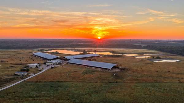 1,018 Acres of Land for Sale in Sulphur Springs, Texas