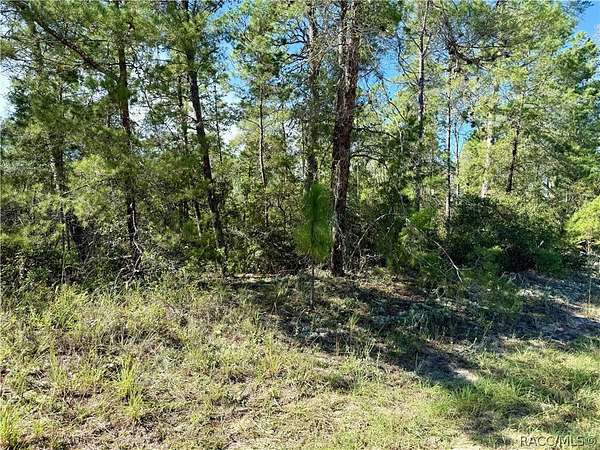 1 Acre of Residential Land for Sale in Citrus Springs, Florida