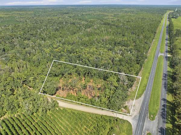 5.12 Acres of Commercial Land for Sale in Lamont, Florida