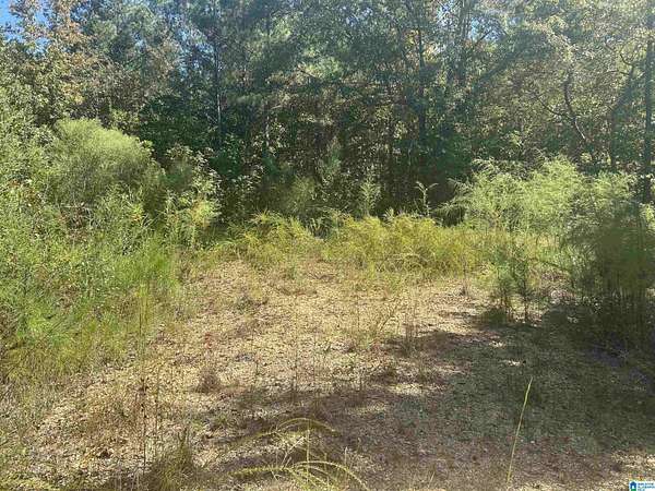 0.87 Acres of Land for Sale in Nauvoo, Alabama