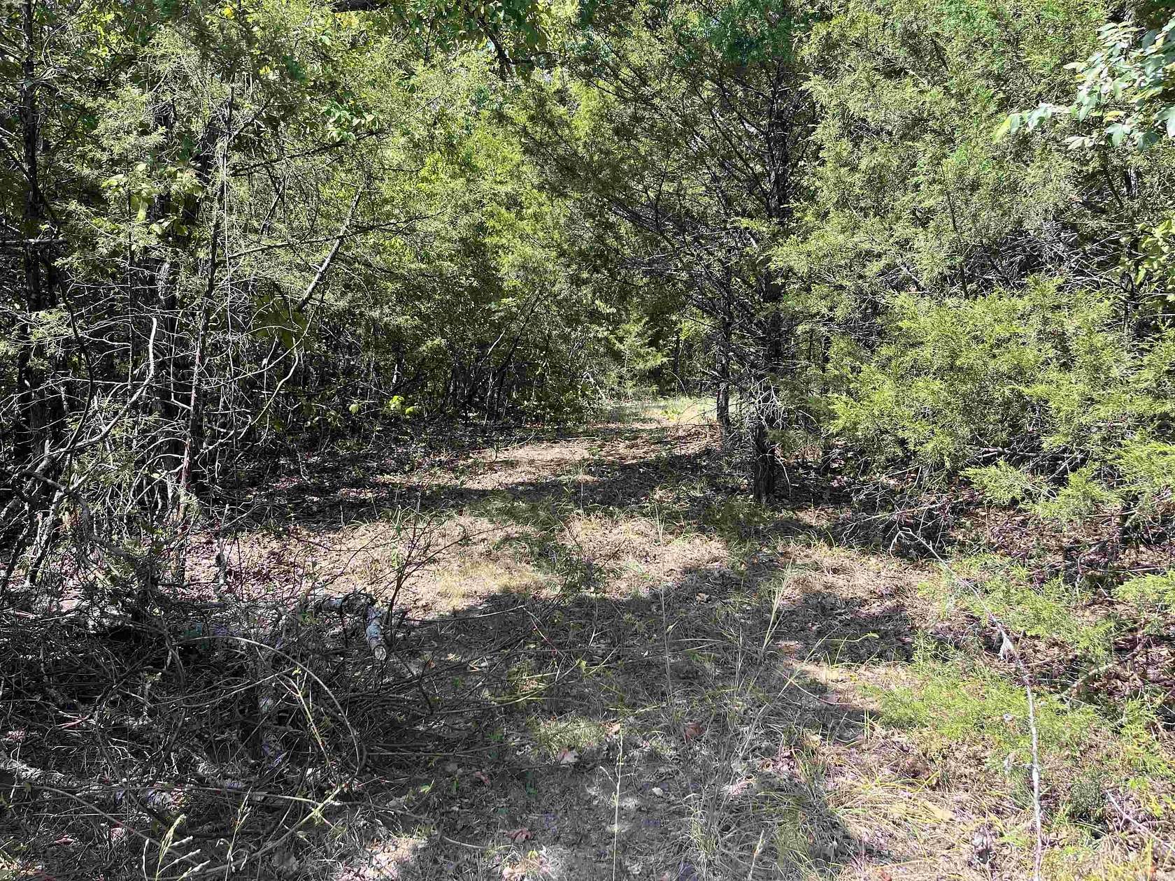 10 Acres of Recreational & Residential Land for Sale in Yellville, Arkansas