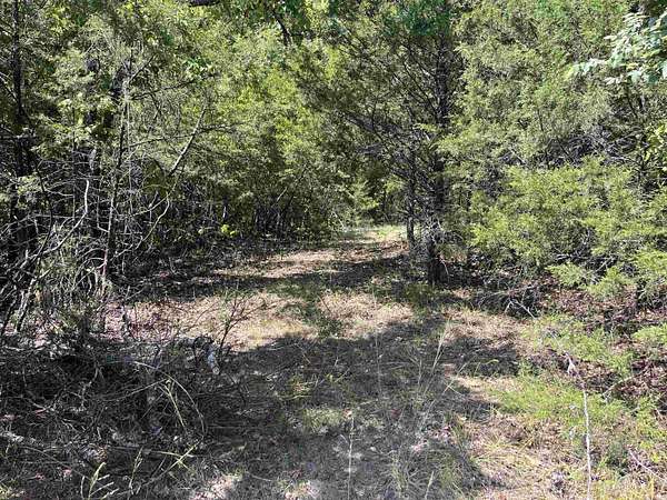 10 Acres of Recreational & Residential Land for Sale in Yellville, Arkansas