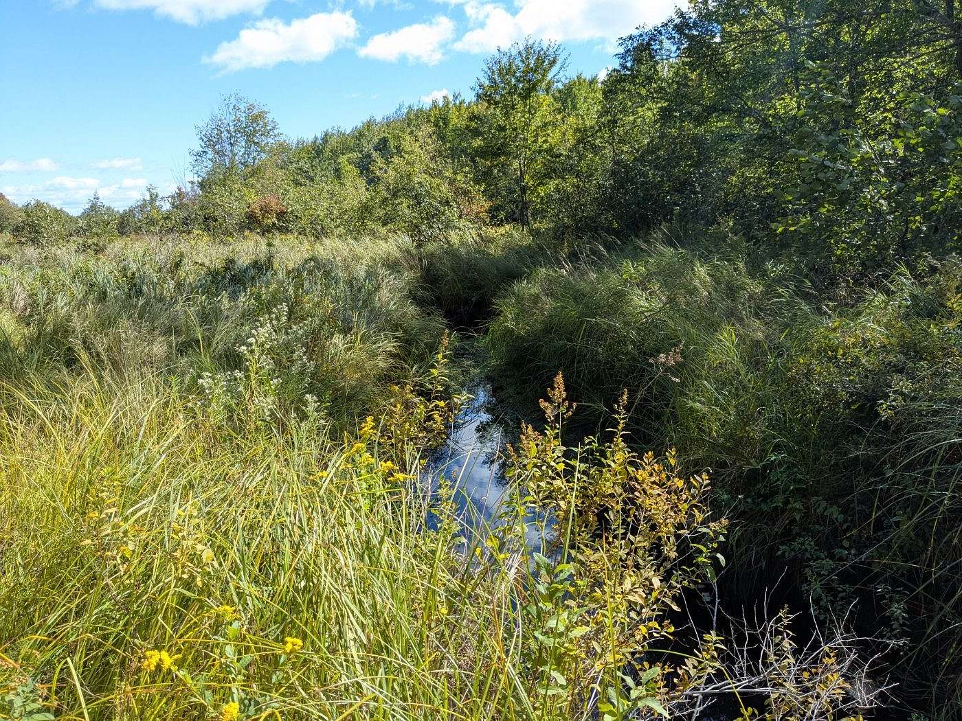 61.3 Acres of Land for Sale in Hudson Town, Maine