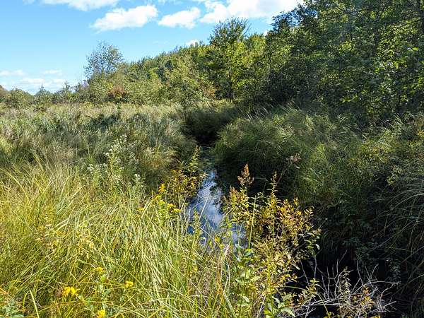 61.3 Acres of Land for Sale in Hudson Town, Maine