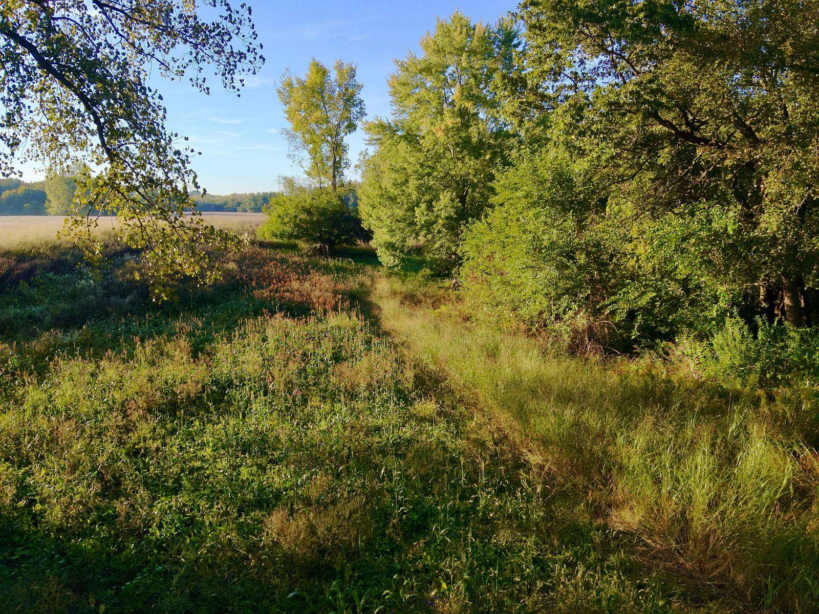 32 Acres of Land for Sale in East Galesburg, Illinois