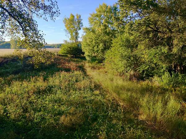32 Acres of Land for Sale in East Galesburg, Illinois