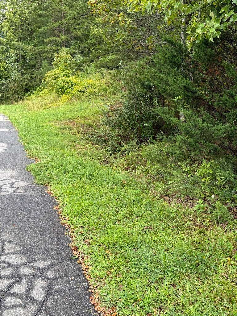 2 Acres of Residential Land for Sale in Cloverdale, Virginia