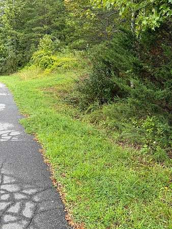 2 Acres of Residential Land for Sale in Cloverdale, Virginia