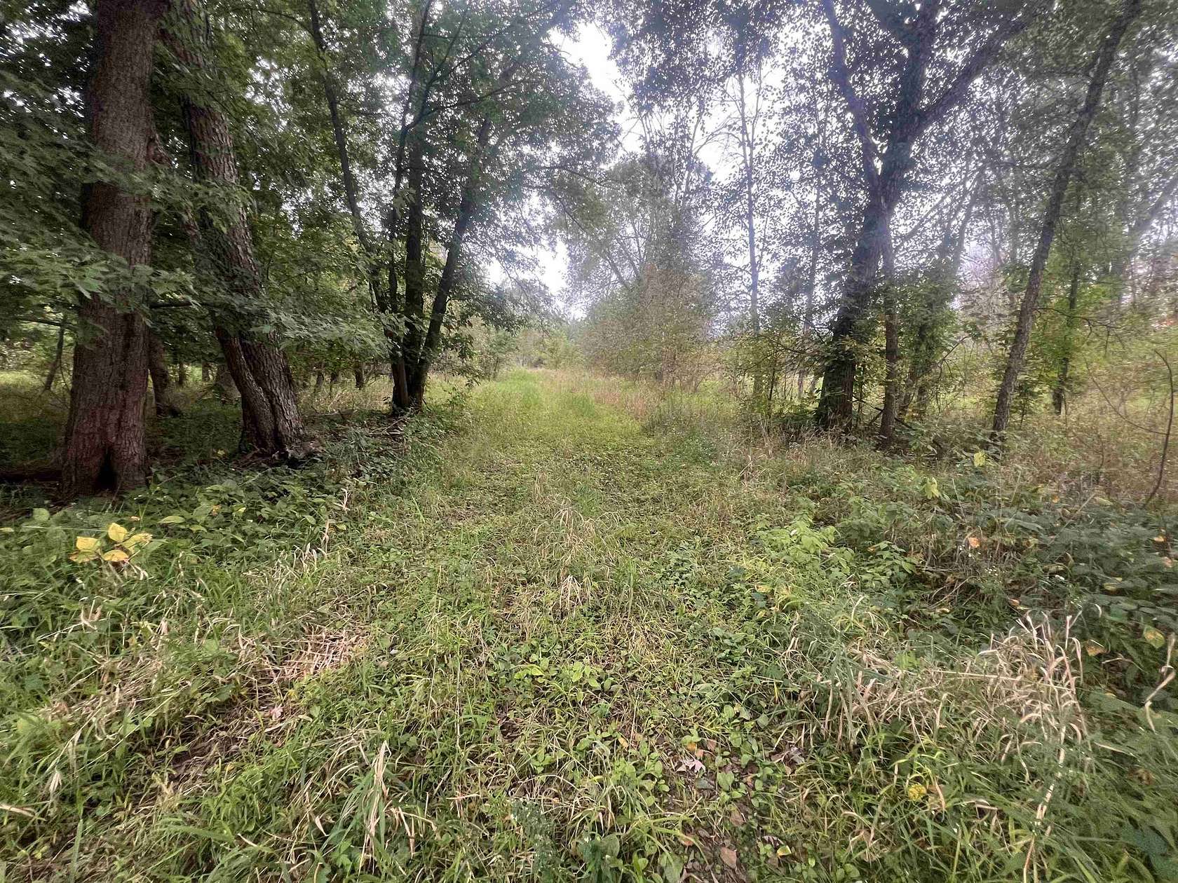 58.4 Acres of Land for Sale in Portage, Wisconsin