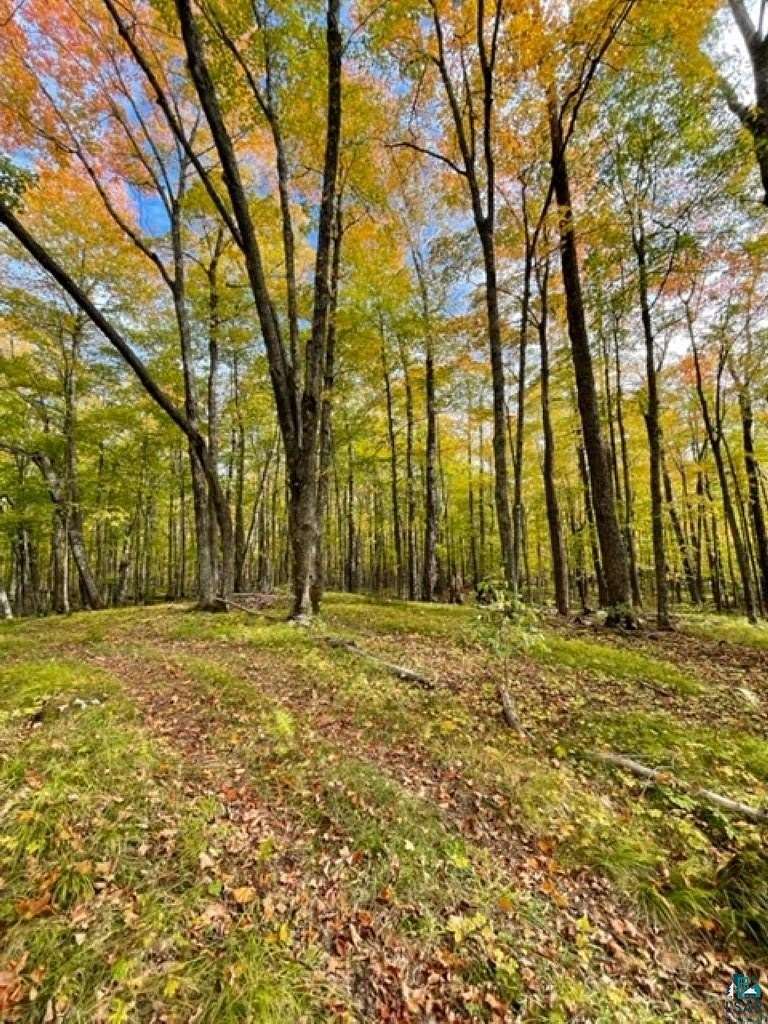 10 Acres of Recreational & Residential Land for Sale in Duluth, Minnesota
