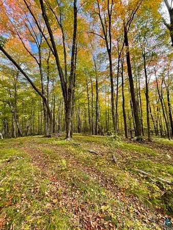 10 Acres of Recreational & Residential Land for Sale in Duluth, Minnesota