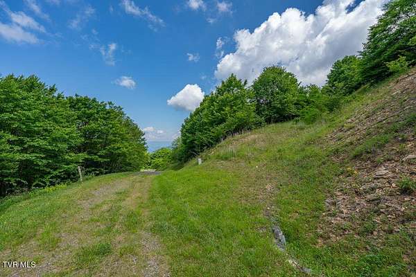 8 Acres of Land for Sale in Trade, Tennessee