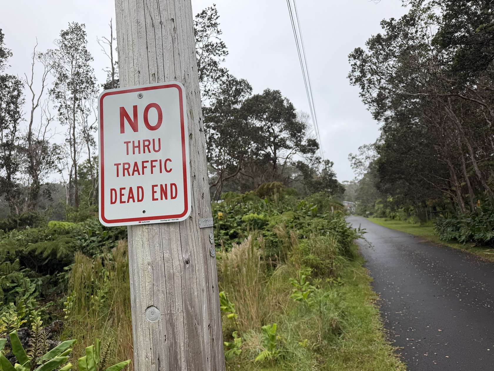 0.46 Acres of Residential Land for Sale in Volcano, Hawaii