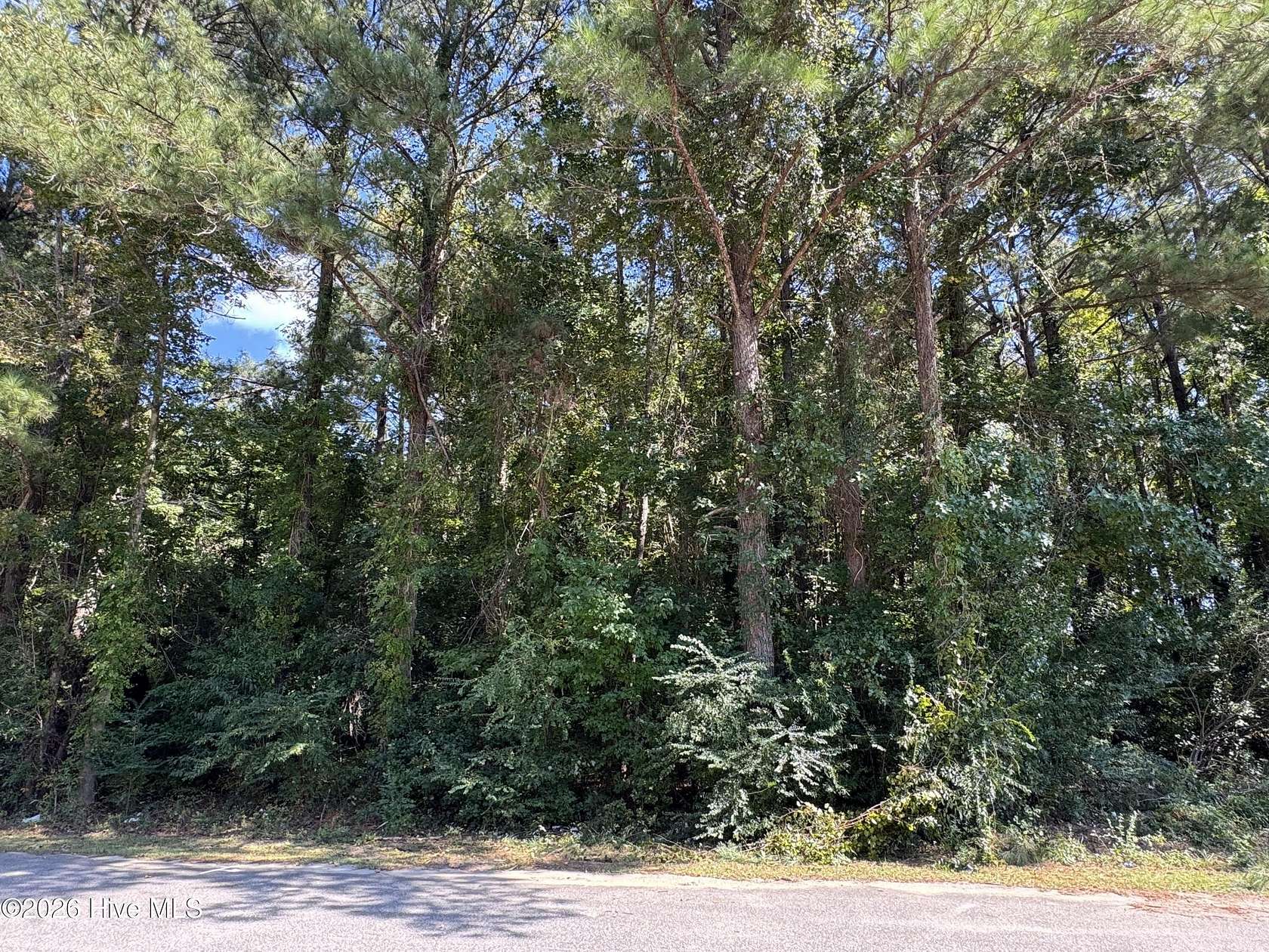 1.2 Acres of Land for Sale in Hallsboro, North Carolina