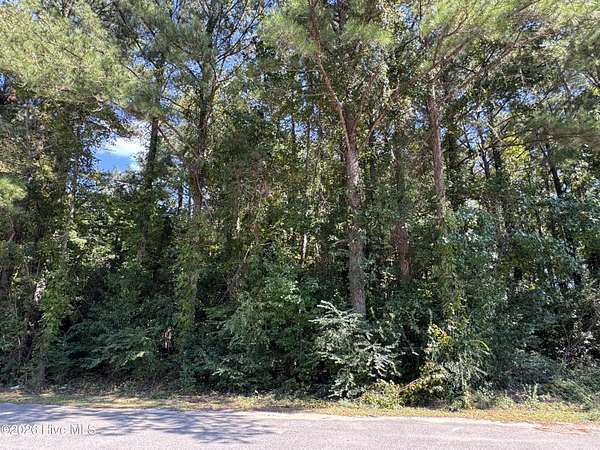 1.2 Acres of Land for Sale in Hallsboro, North Carolina