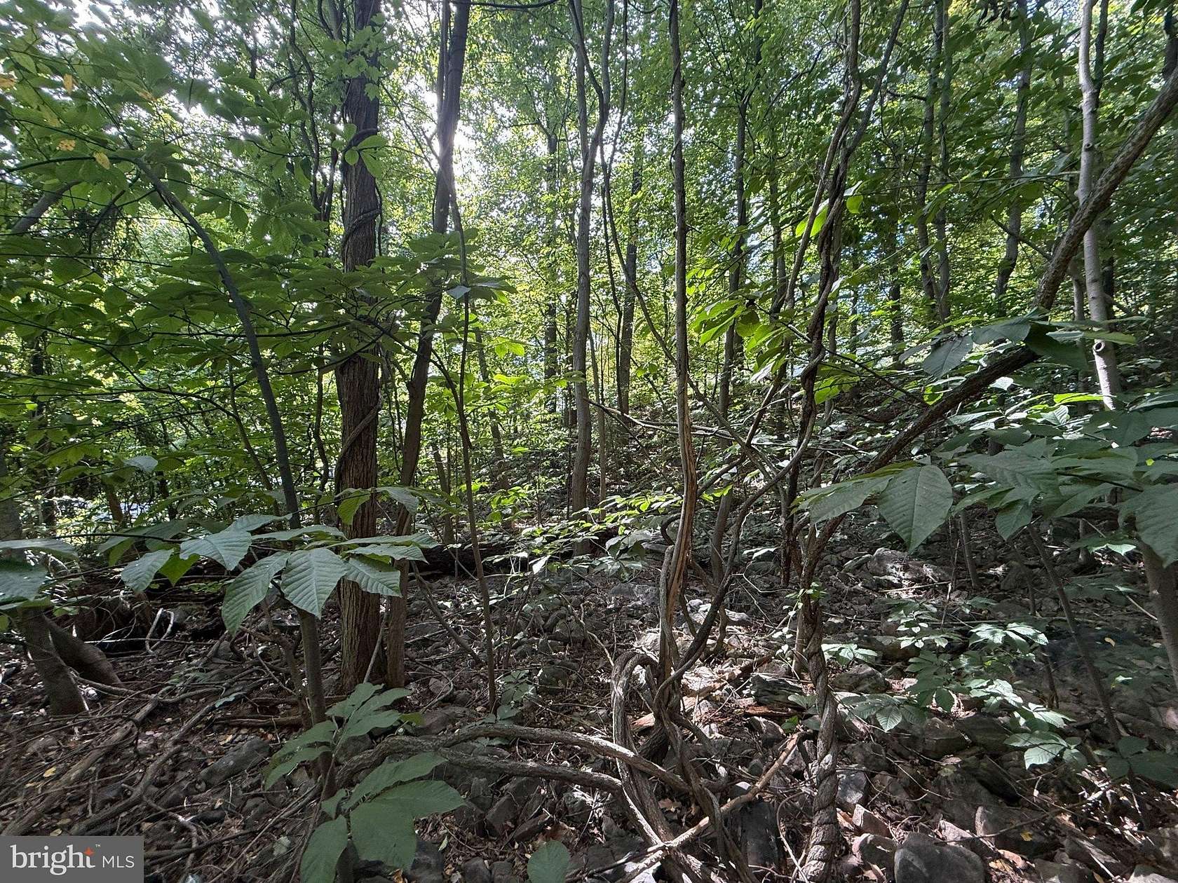 0.6 Acres of Residential Land for Sale in Harrisburg, Pennsylvania