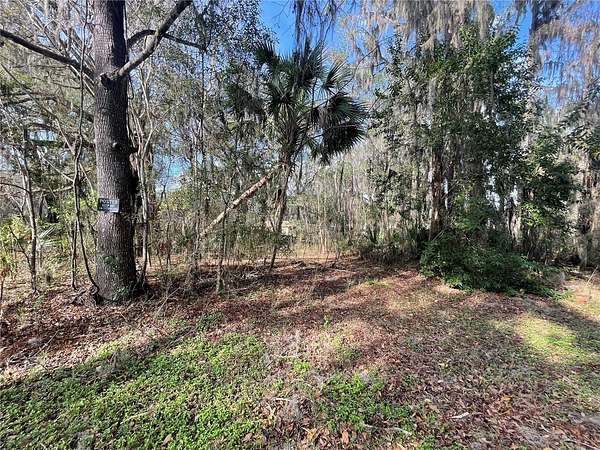 0.42 Acres of Residential Land for Sale in Ocala, Florida