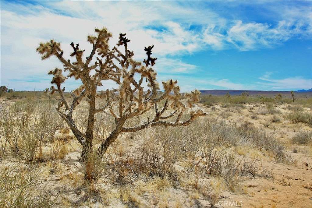 5 Acres of Land for Sale in Landers, California