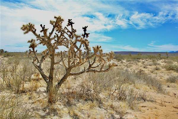 5 Acres of Land for Sale in Landers, California