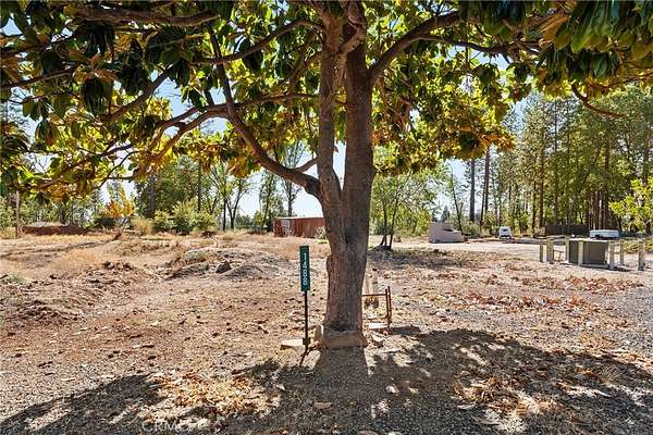 0.25 Acres of Residential Land for Sale in Paradise, California