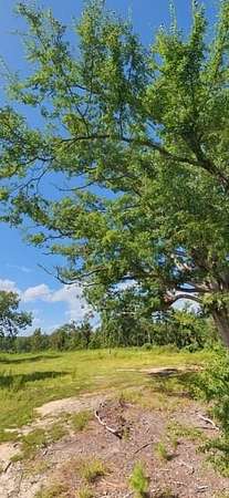10.3 Acres of Land with Home for Sale in Oxford, Mississippi