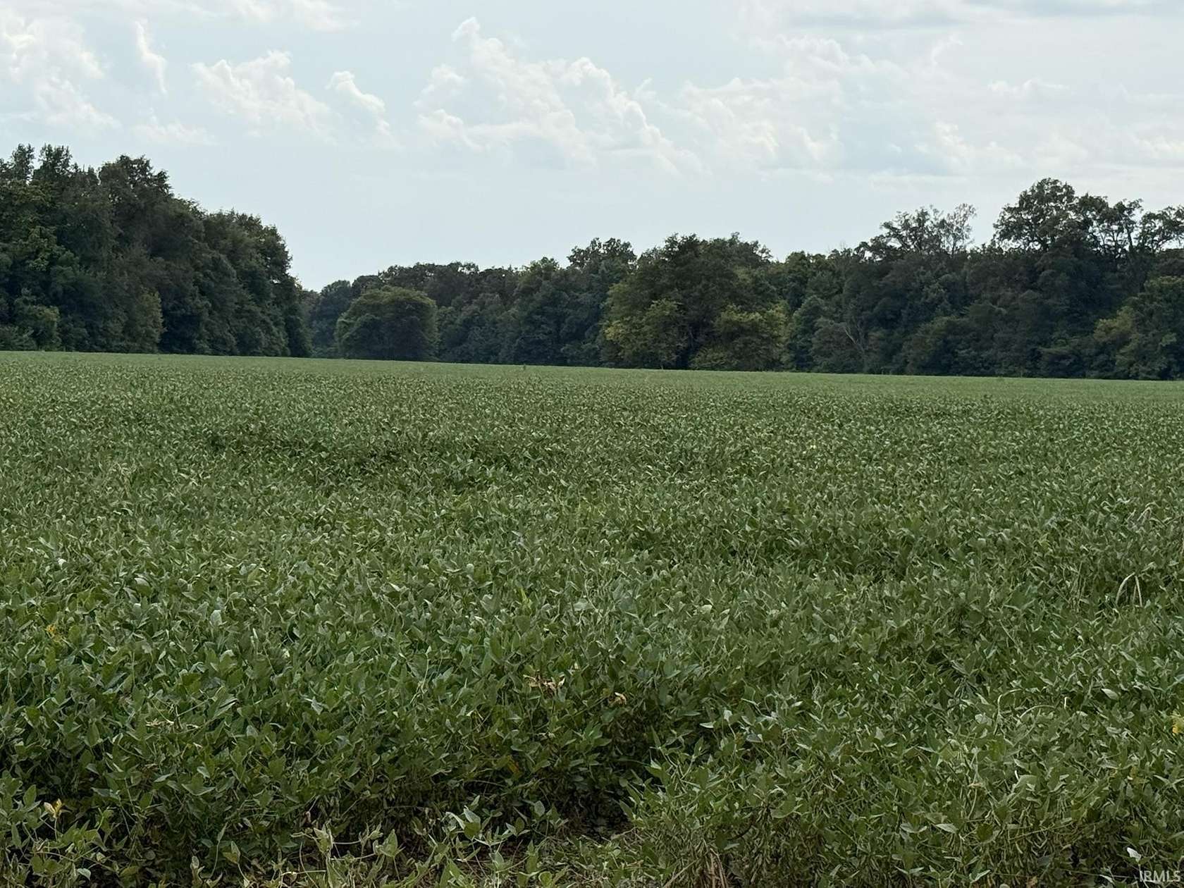 36 Acres of Agricultural Land for Auction in Richland City, Indiana